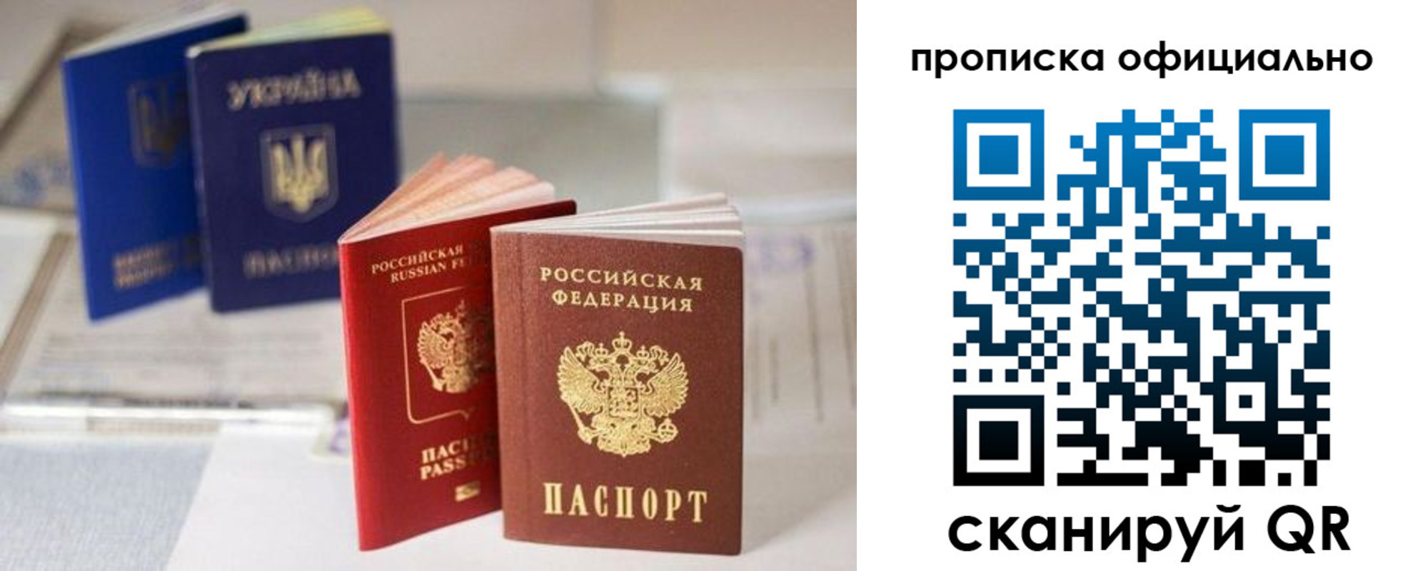 прописка поиск в Шали